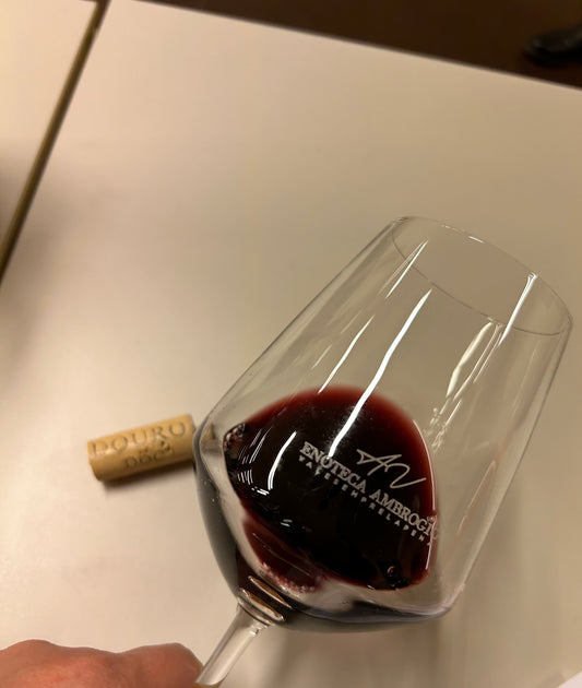 Wine Tasting in Siena – Tuscan Wine Experience