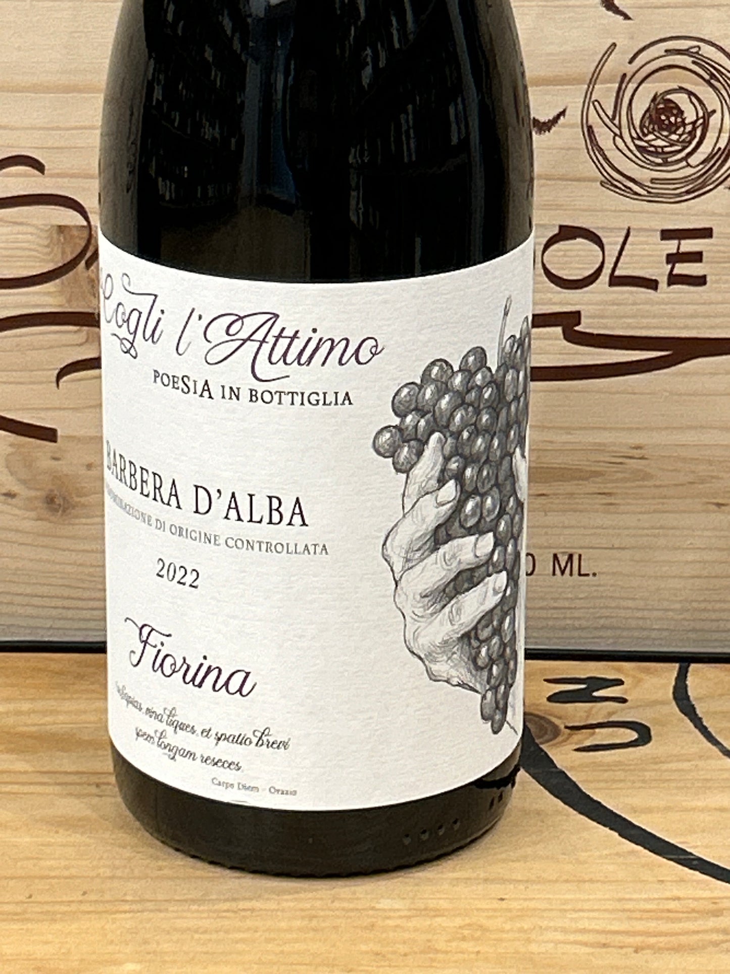 Barbera d’alba Fiorina DOC